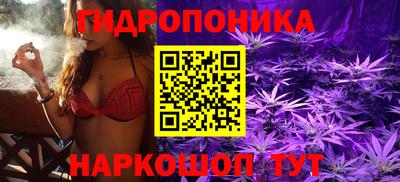 apvp Ирбит