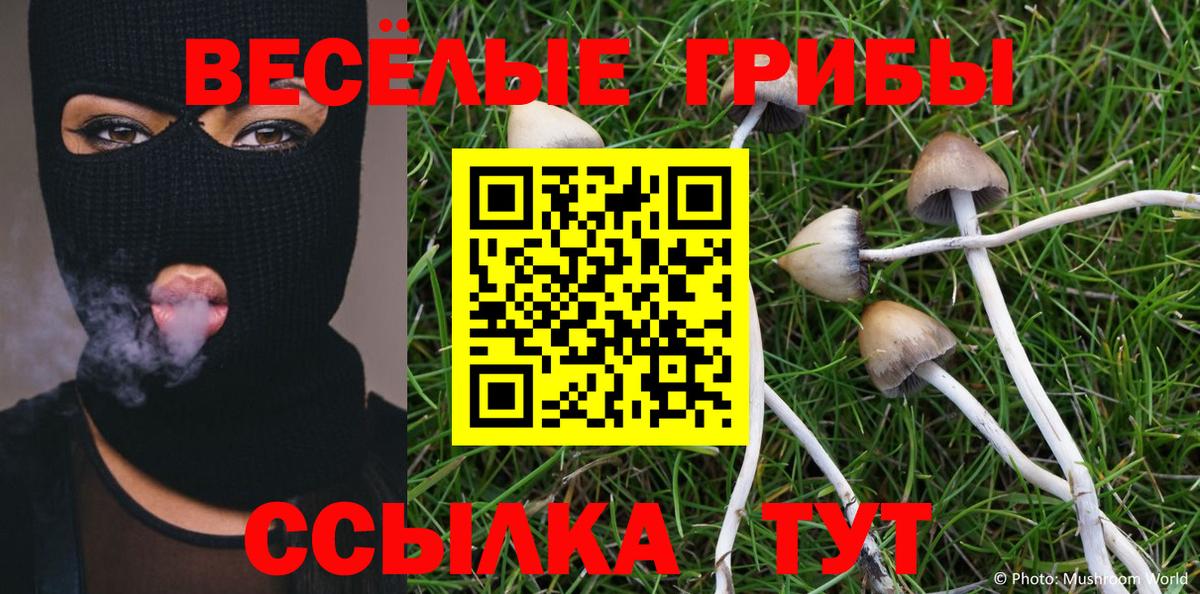 Псилоцибиновые грибы Psilocybe  Вход с VPN  Бутурлиновка  Галлюциногенные грибы MAGIC MUSHROOMS 